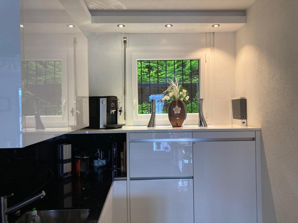 Appartement Novotna Ponte Tresa Extérieur photo